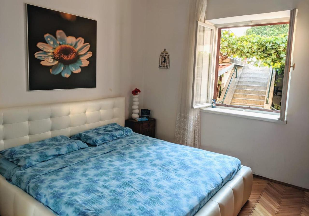 Glorianita Sweethome,Centro, Free Parking,Self Check- In Šibenik Exteriér fotografie